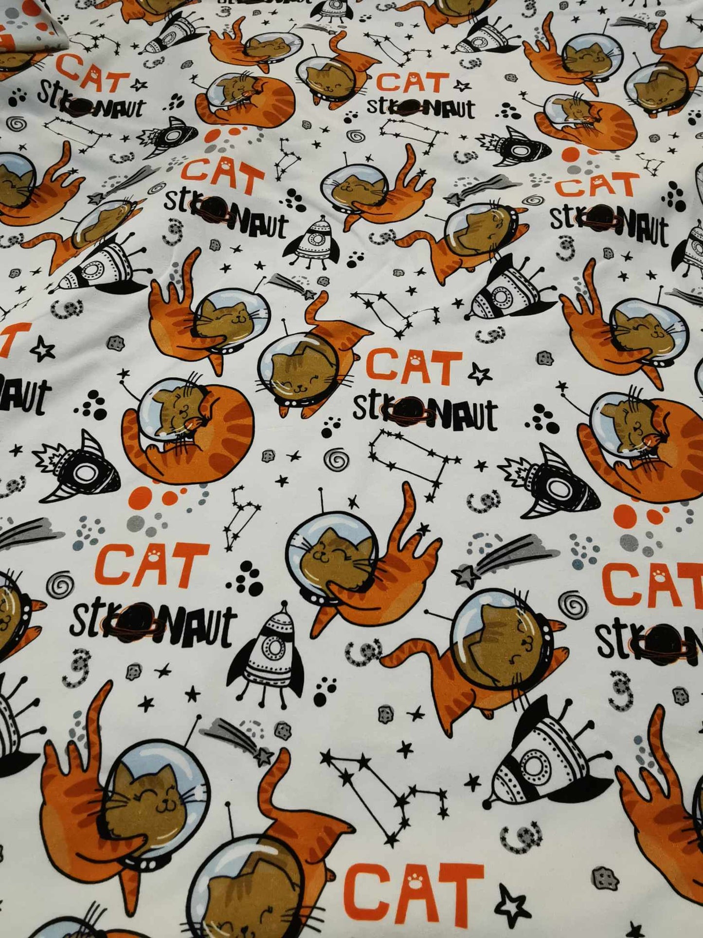 Cat stronaut CL