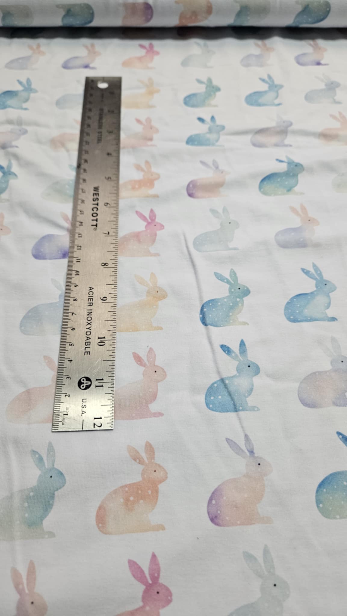 Bunnies CL
