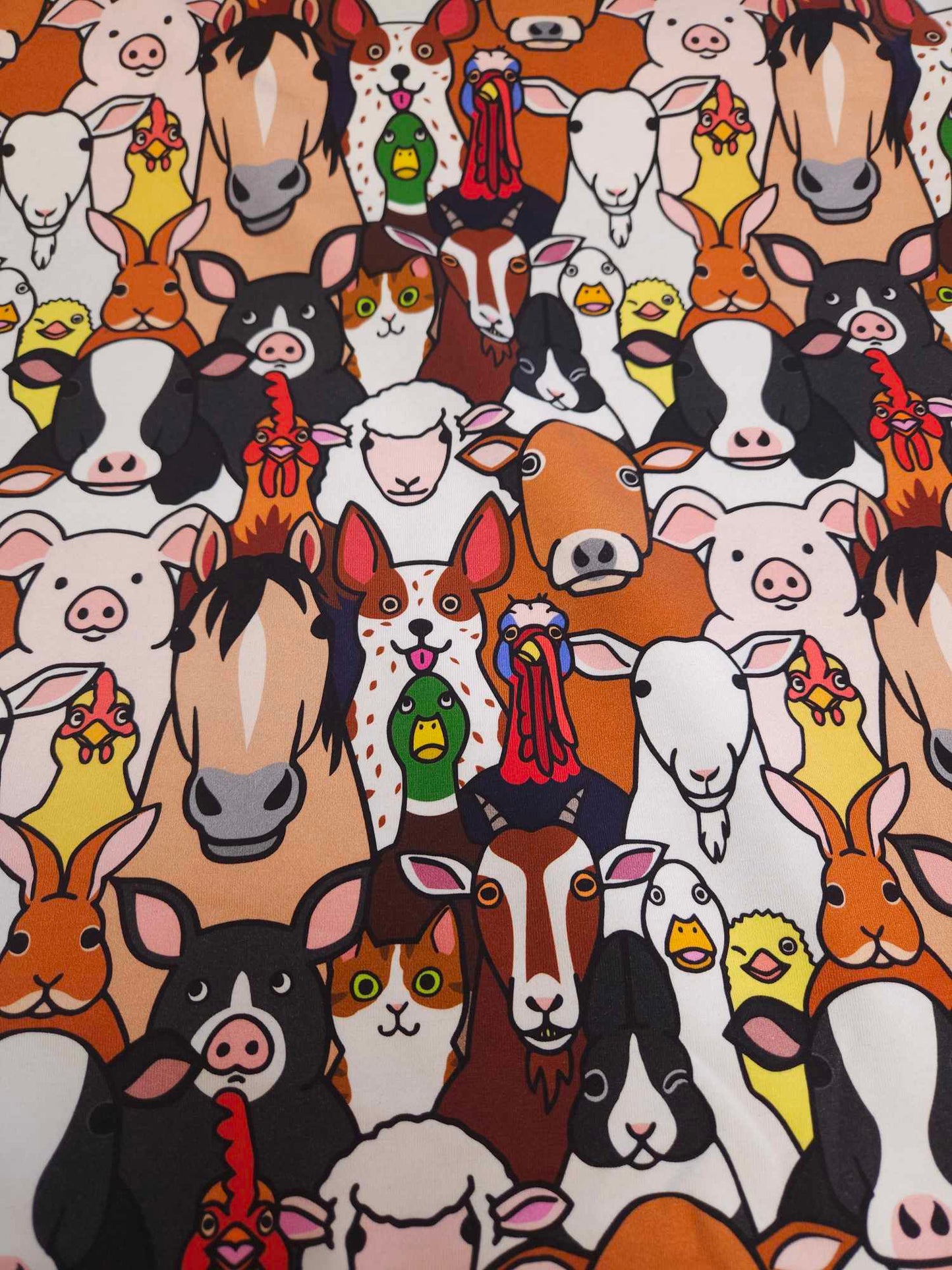 farm animals closeup CL