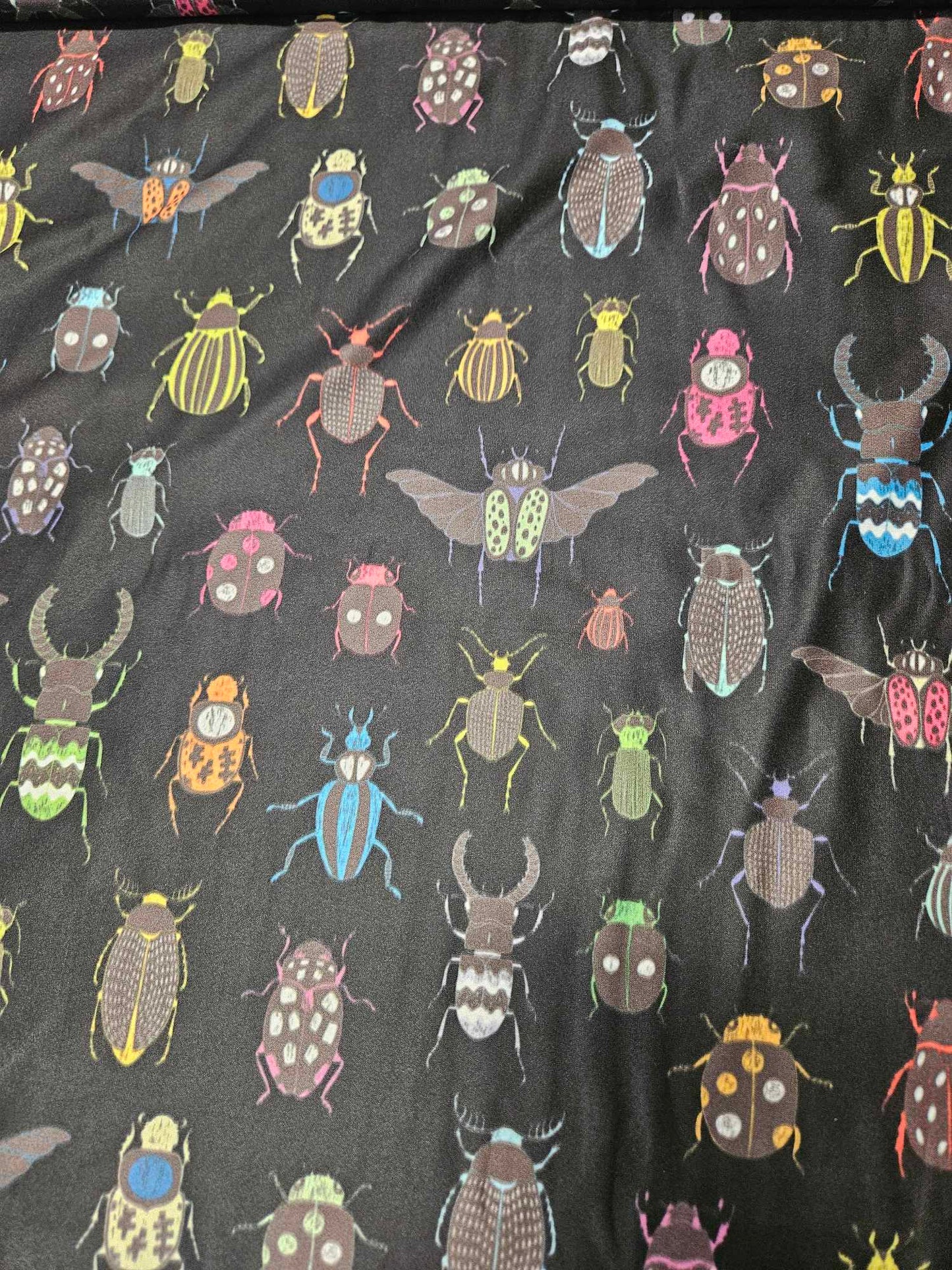 bugs DBP