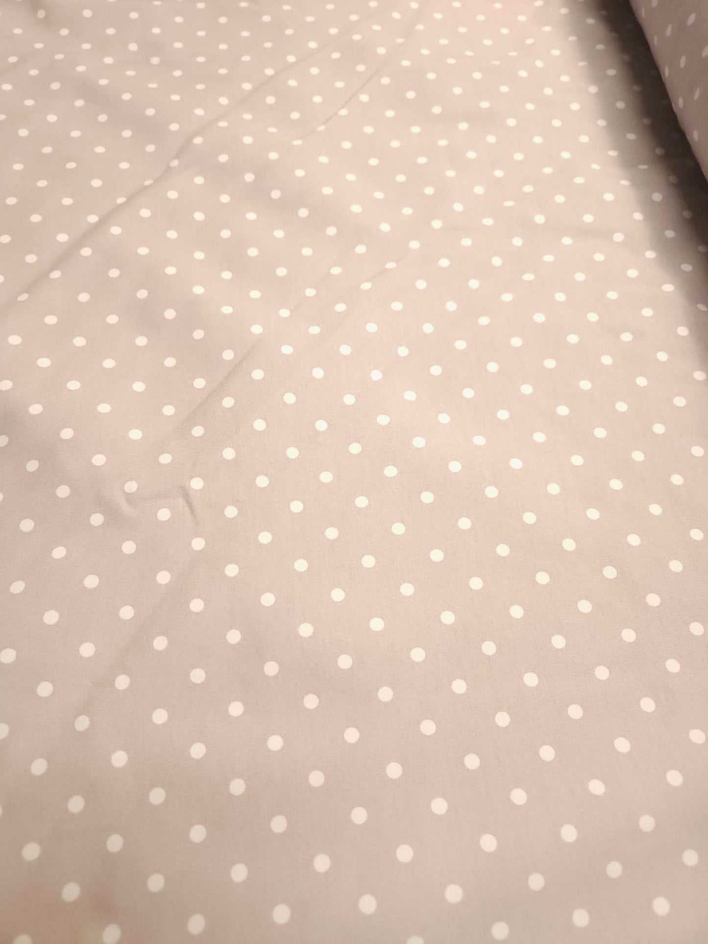 Pois gris lavendre CL