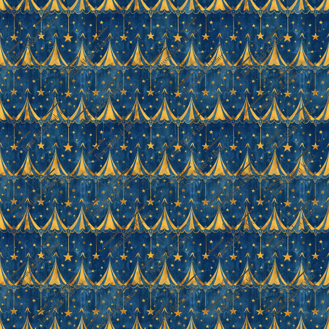 Précommande Octobre 2024- cirque vintage 1