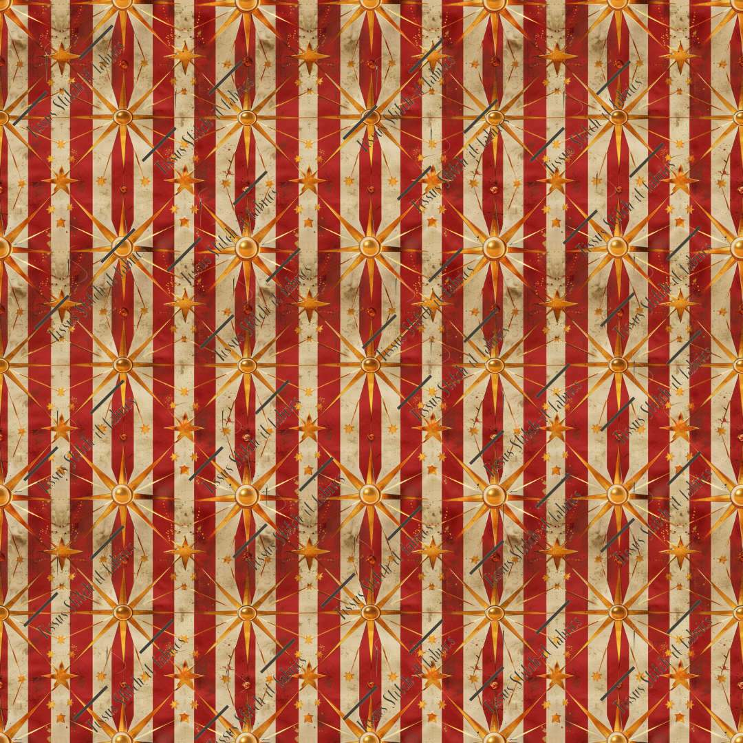 Précommande Octobre 2024- cirque vintage 12