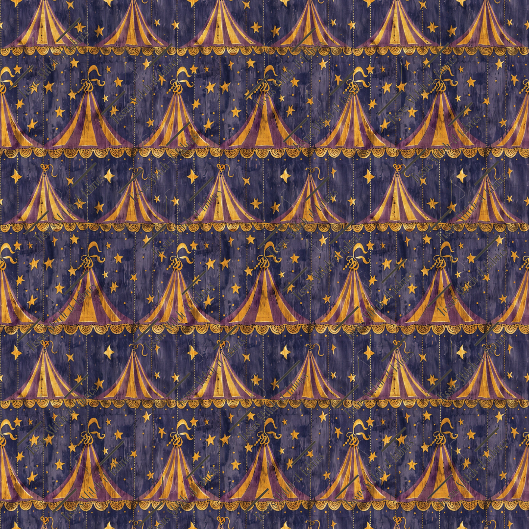 Précommande Octobre 2024- cirque vintage 18