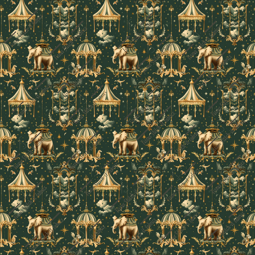 Précommande Octobre 2024- cirque vintage 23