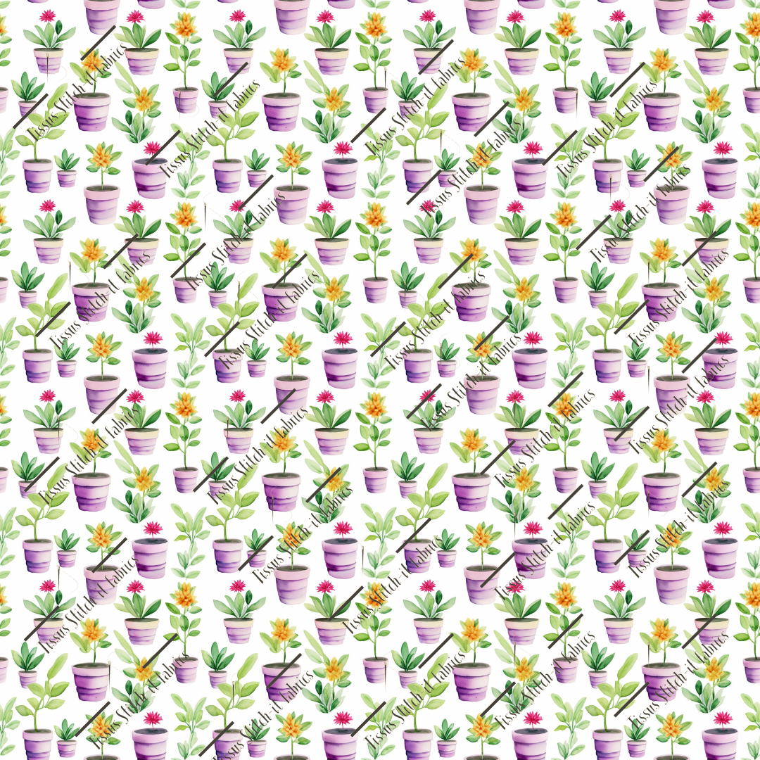 Pré-commande avril 2025-14