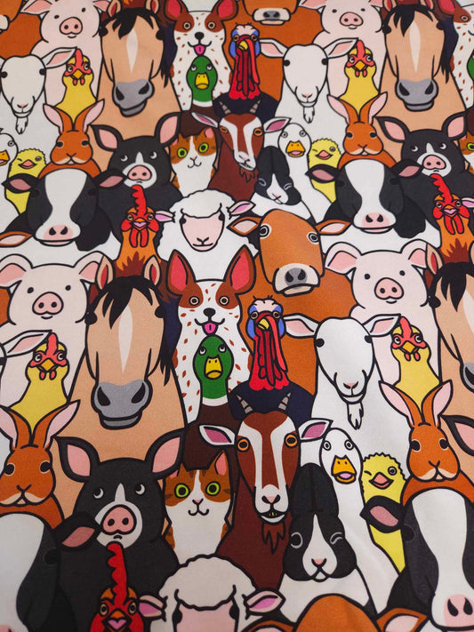 farm animals closeup CL