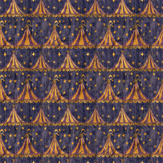 Preorder October 2024-vintage circus 18
